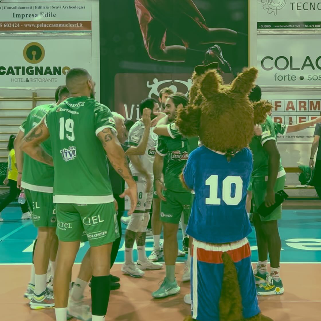 1 The Volley Lovers