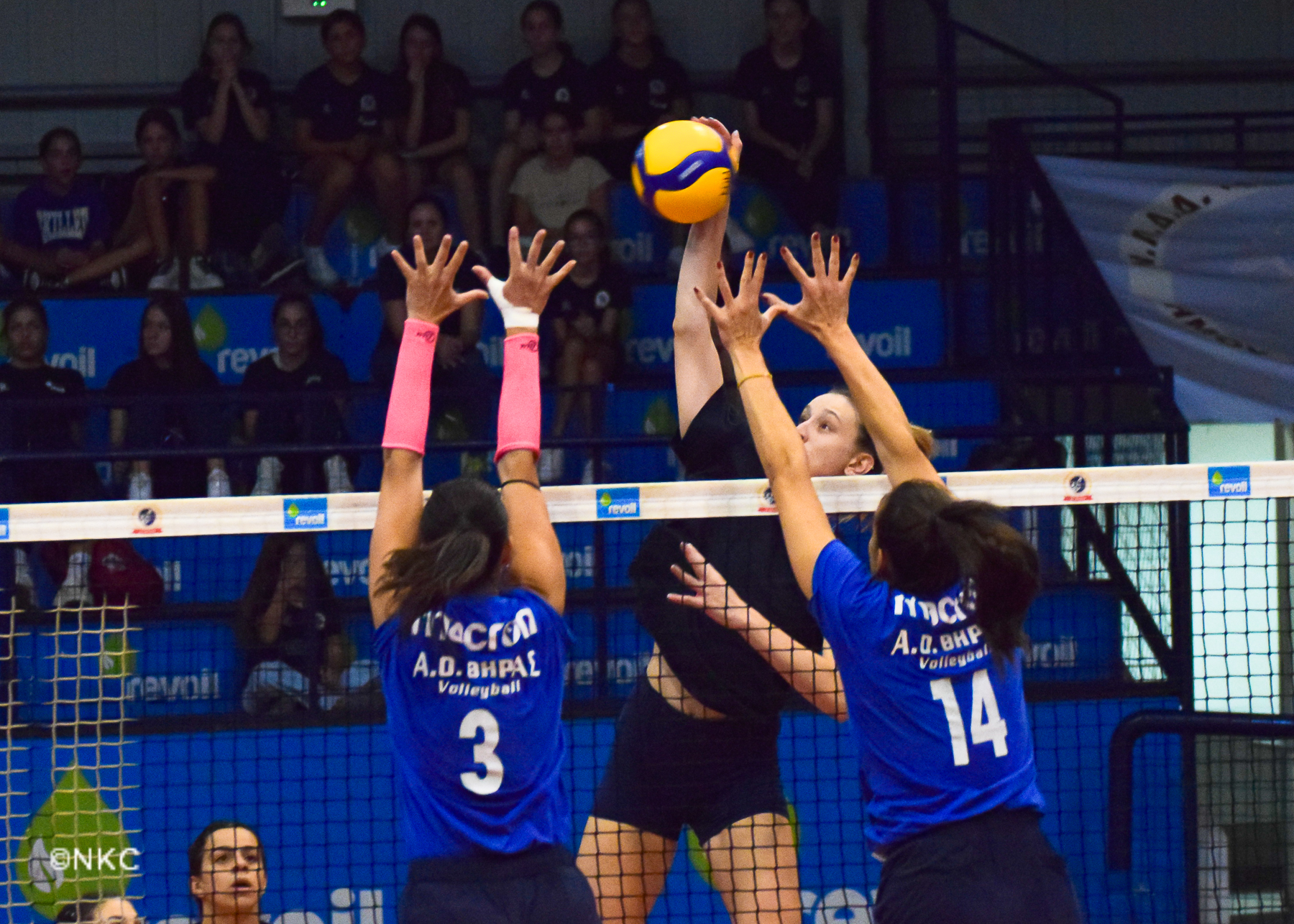 1 The Volley Lovers