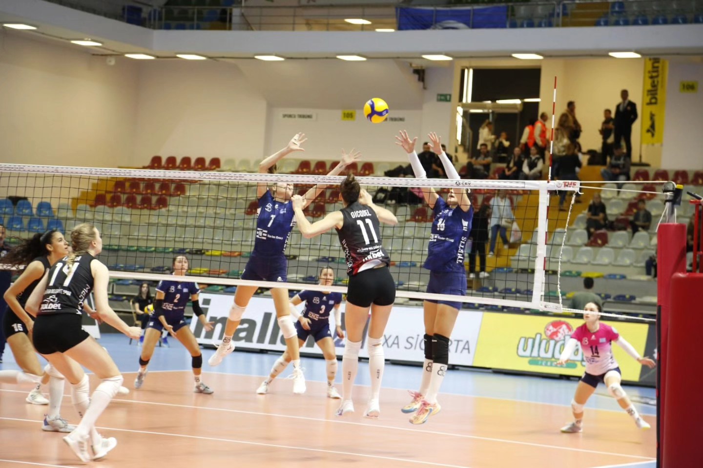 3916286927032723884957301852772701456525673n The Volley Lovers