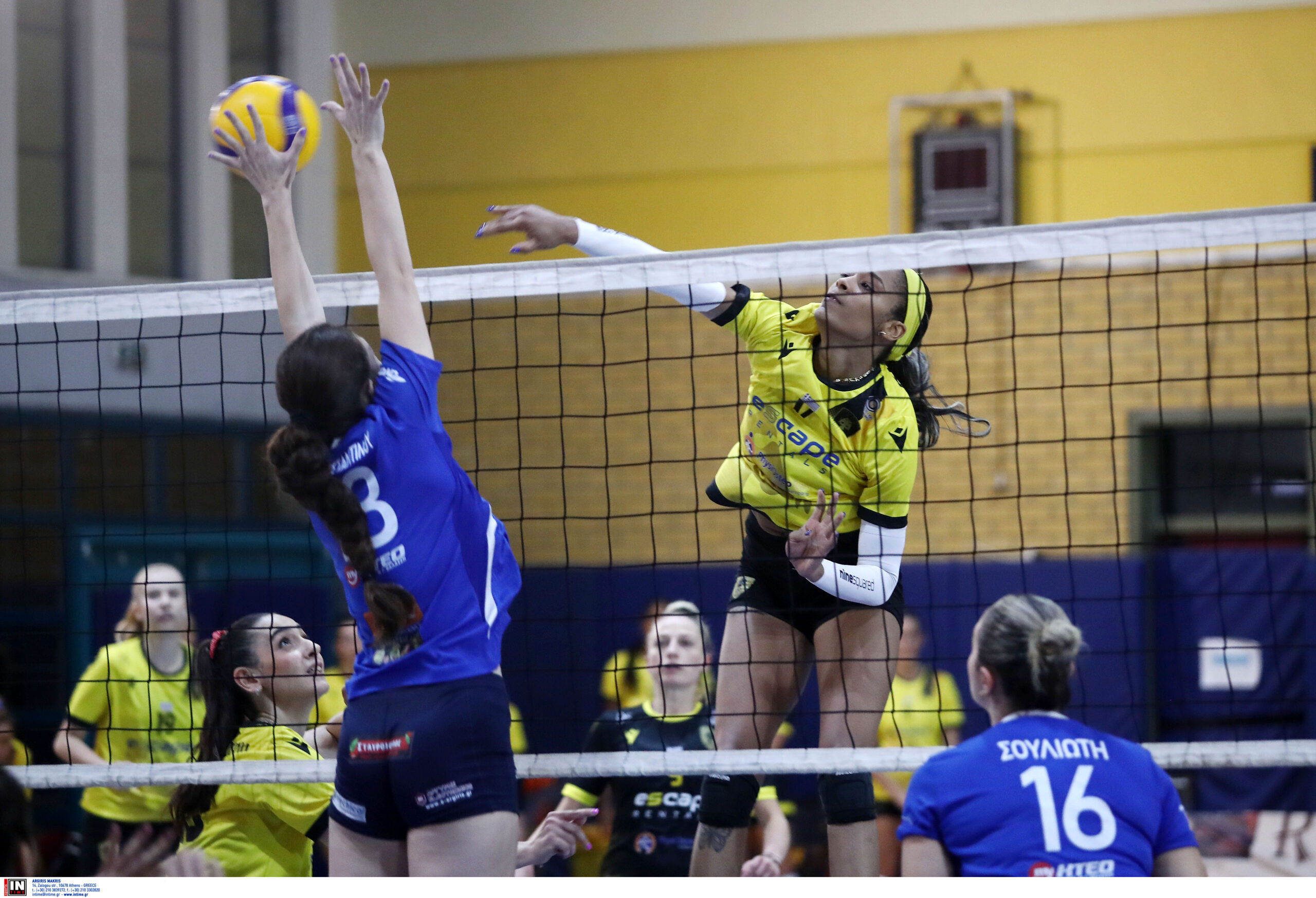 ÁÅÊ ËÁÌÉÁ <br> VOLLEY LEAGUE ÃÕÍÁÉÊÙÍ 20232024 The Volley Lovers
