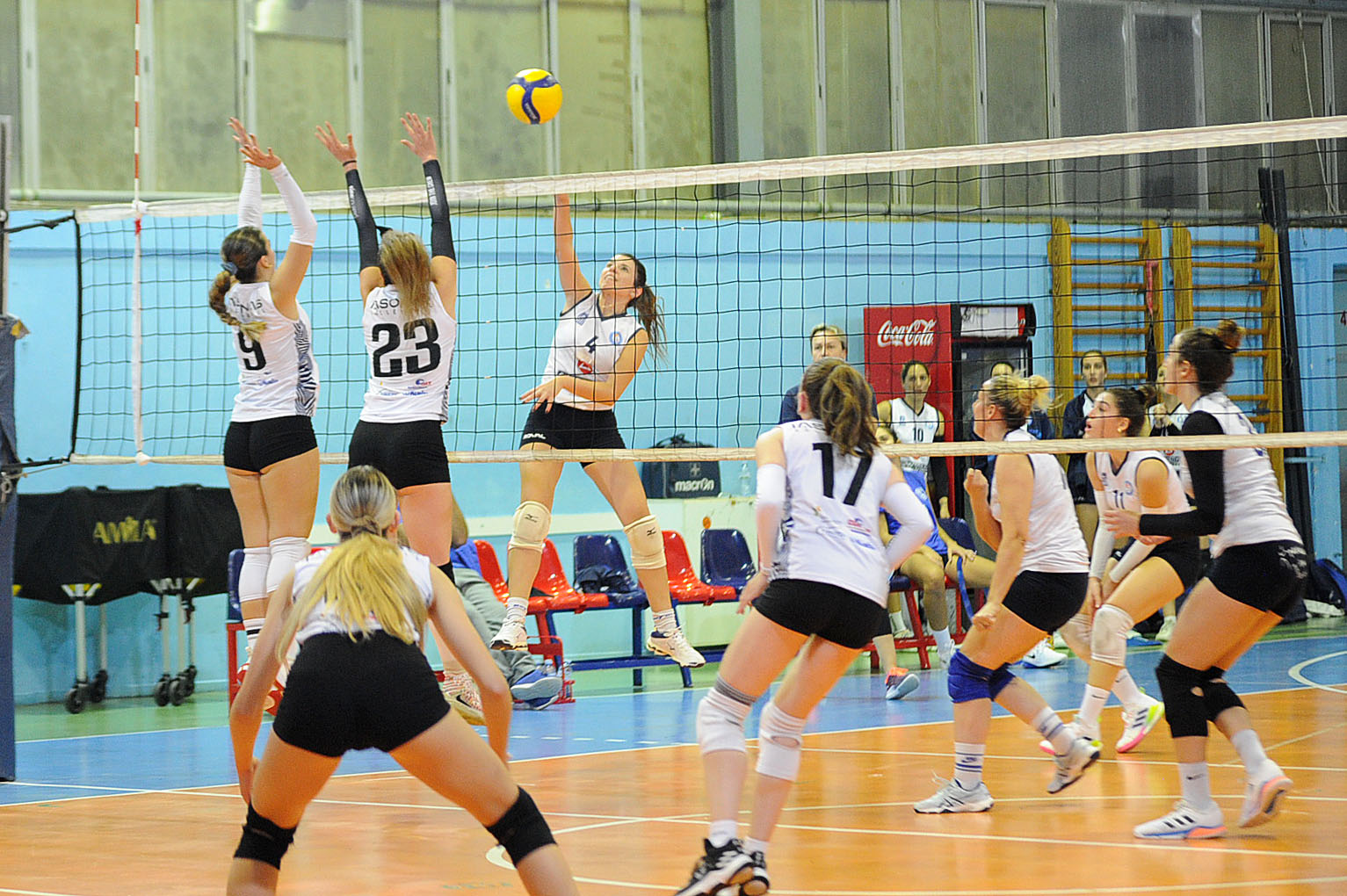 1 The Volley Lovers