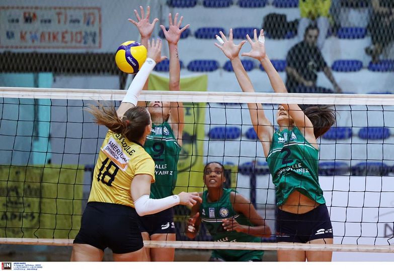 3991485831819358916405652650258800063502808n The Volley Lovers