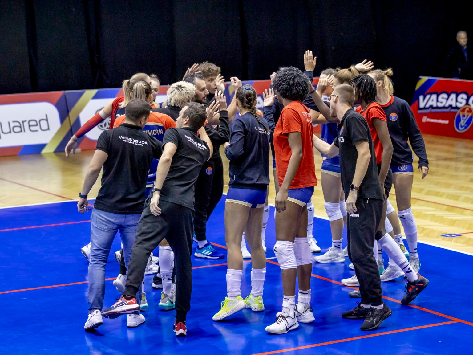 4003872998234057097946446869875169180696747n The Volley Lovers