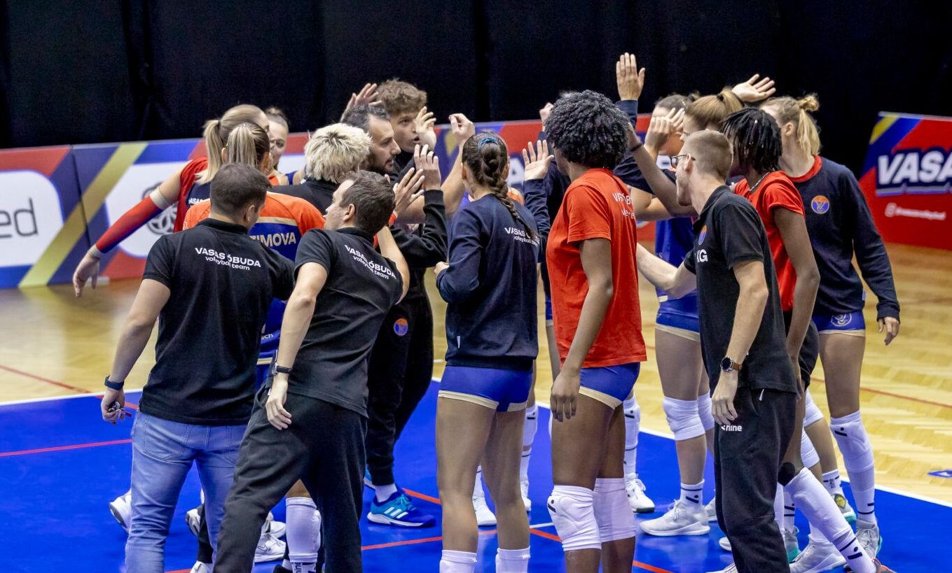 4003872998234057097946446869875169180696747n The Volley Lovers