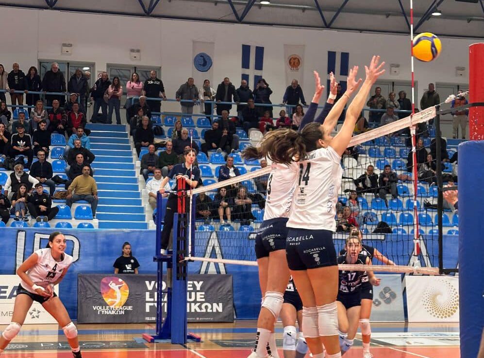 4080209528605205360737651059616745440420219n The Volley Lovers