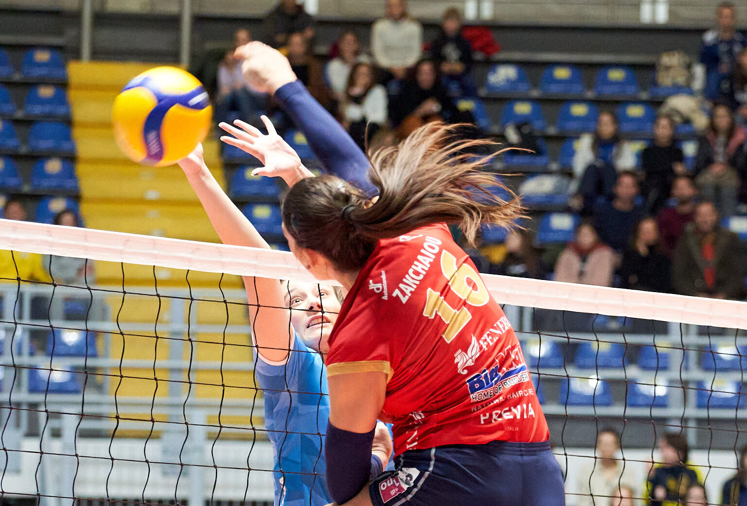 476ed10dc25f01370565ad5c6c383c19 The Volley Lovers