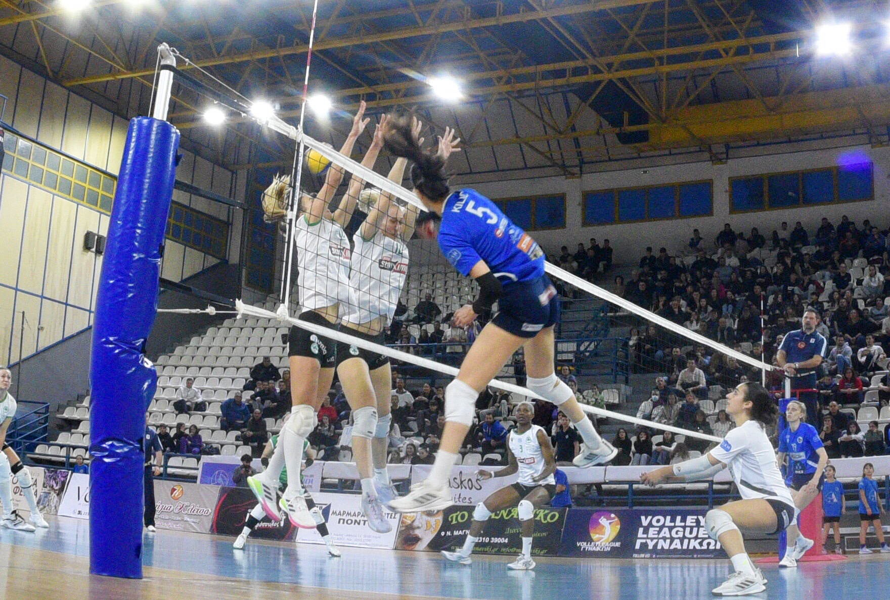 ËÁÌÉÁ ÐÁÍÁÈÇÍÁÉÊÏÓ <br> VOLLEY LEAGUE ÃÕÍÁÉÊÙÍ 20232024 The Volley Lovers