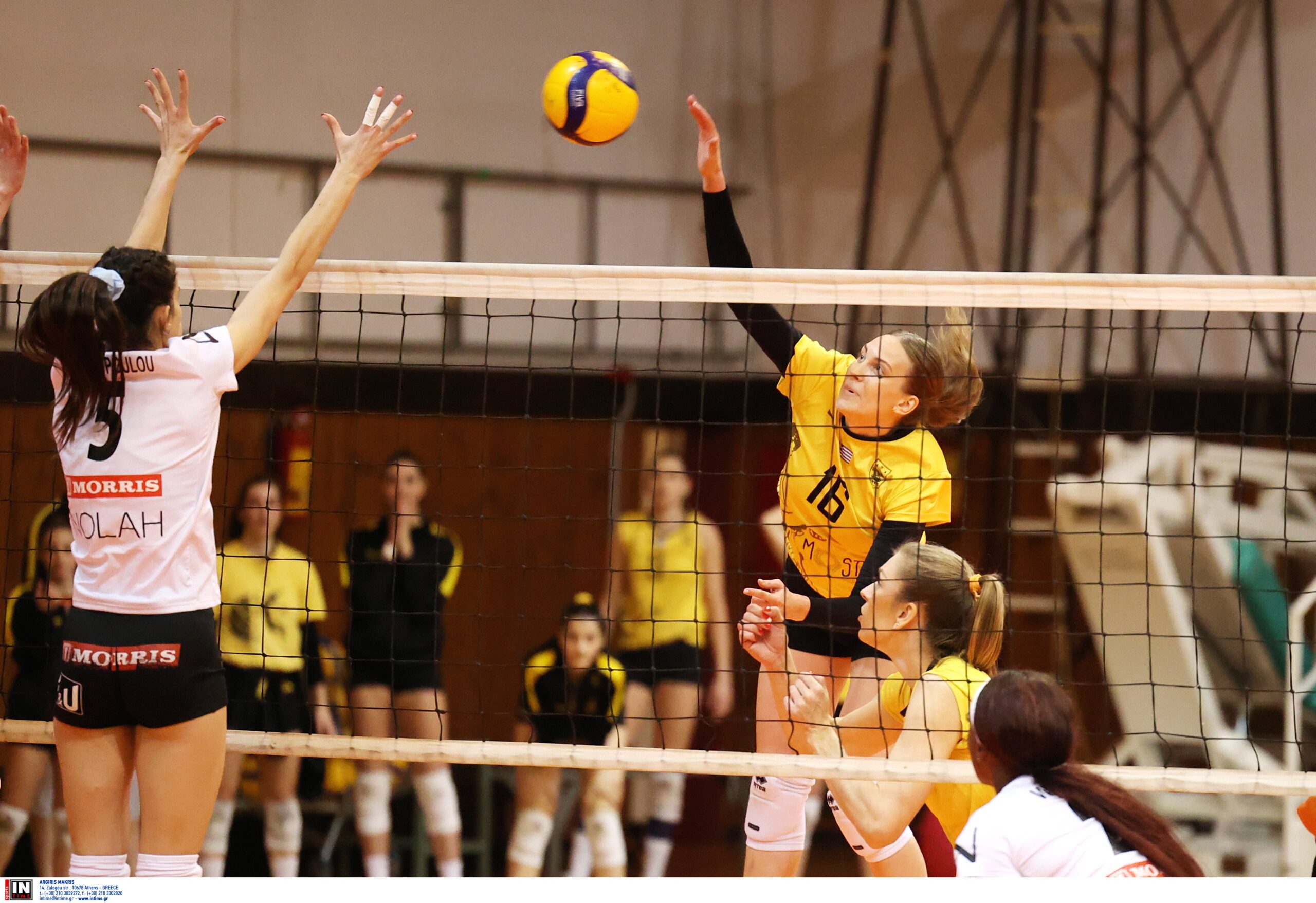 ÁÑÇÓ ÐÁÏÊ <br> VOLLEY LEAGUE ÃÕÍÁÉÊÙÍ 20232024 The Volley Lovers