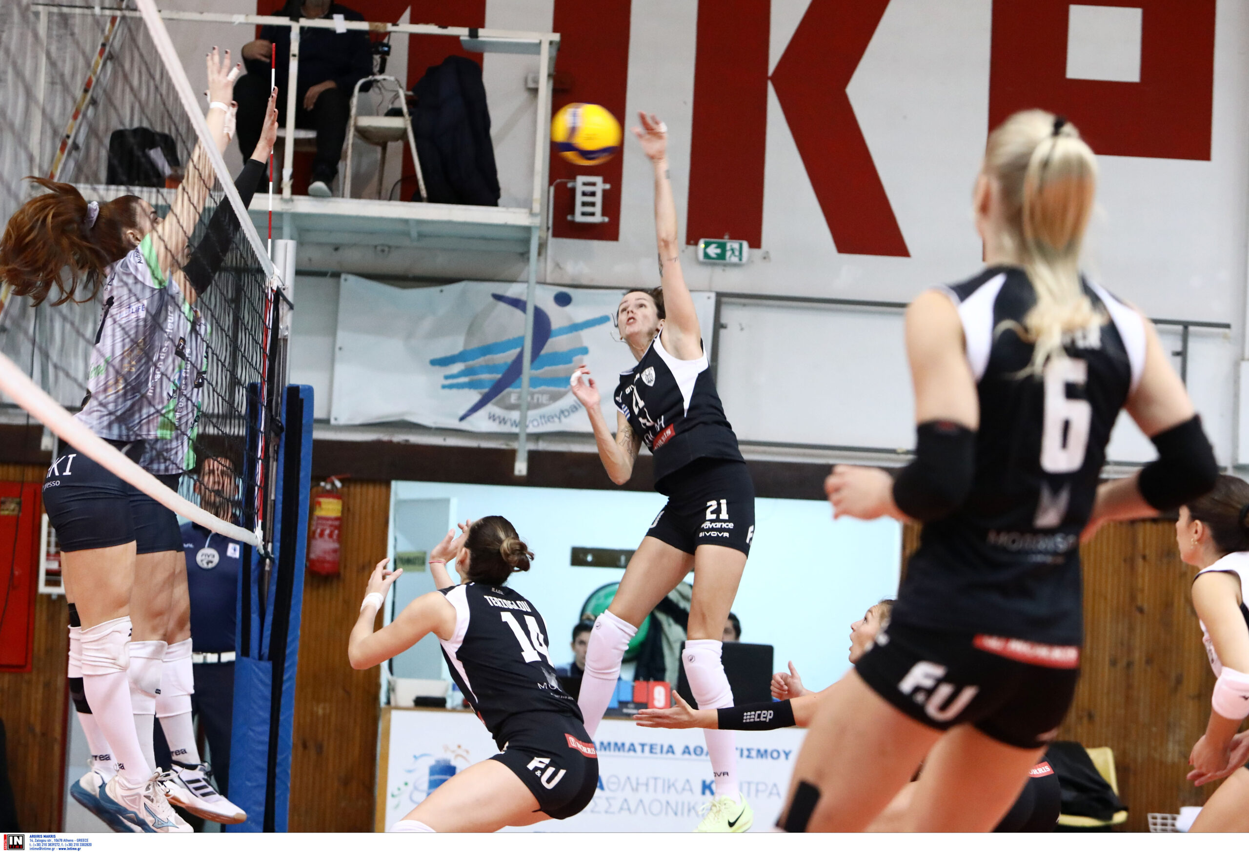 ÐÁÏÊ ÌÉËÙÍ <br> VOLLEY LEAGUE ÃÕÍÁÉÊÙÍ 20242025 The Volley Lovers