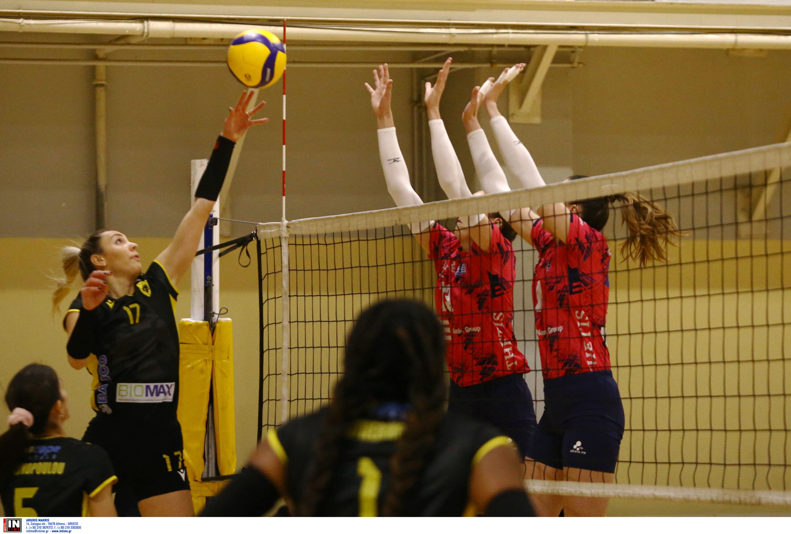 ÁÅÊ ÈÅÔÉÓ <br>VOLLEY LEAGUE ÃÕÍÁÉÊÙÍ 20242025 The Volley Lovers