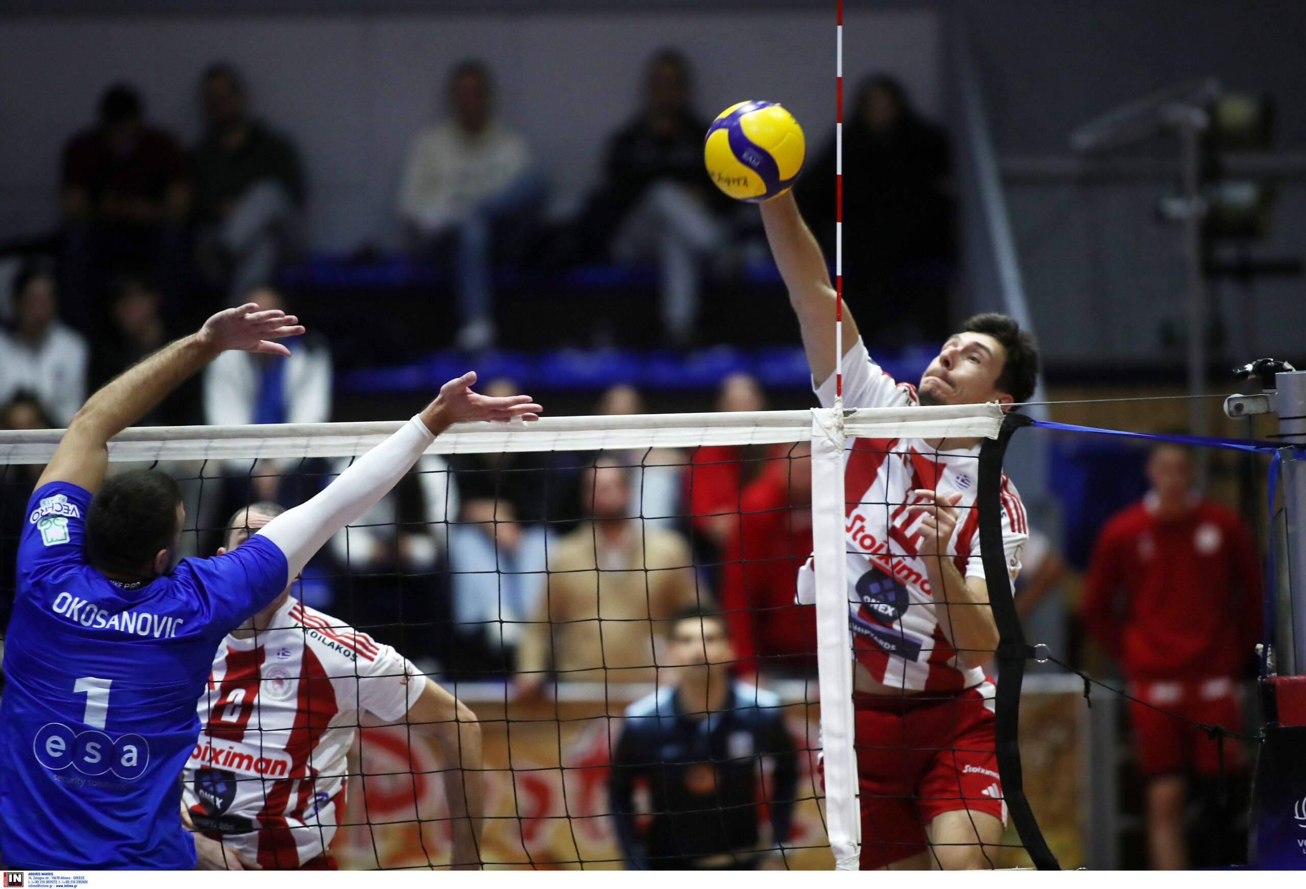 ÊÇÖÉÓÉÁ ÏËÕÌÐÉÁÊÏÓ <br> VOLLEY LEAGUE 20242025 The Volley Lovers