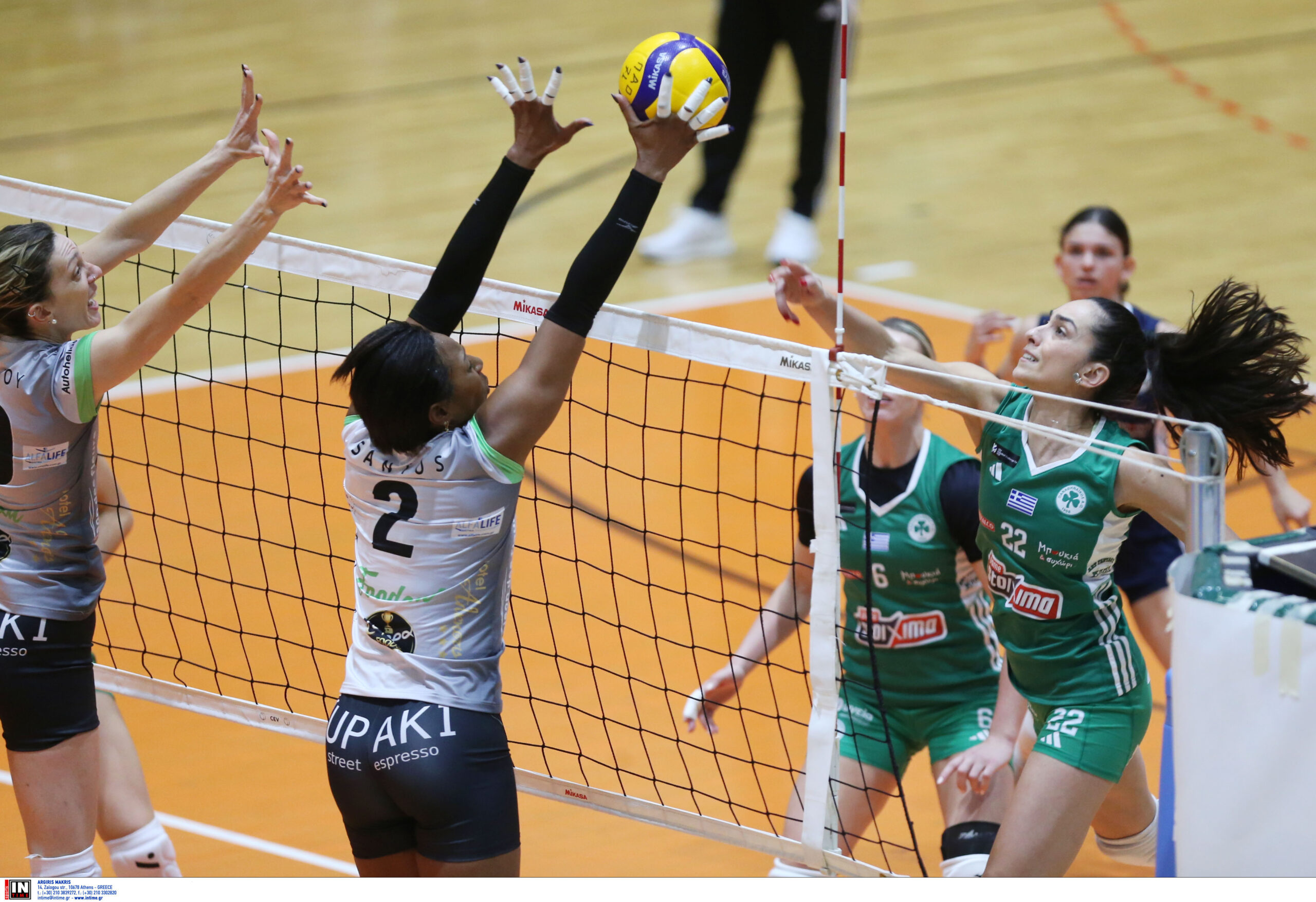 ÐÁÍÁÈÇÍÁÉÊÏÓ ÌÉËÙÍ <br> VOLLEY LEAGUE ÃÕÍÁÉÊÙÍ 20242025 The Volley Lovers