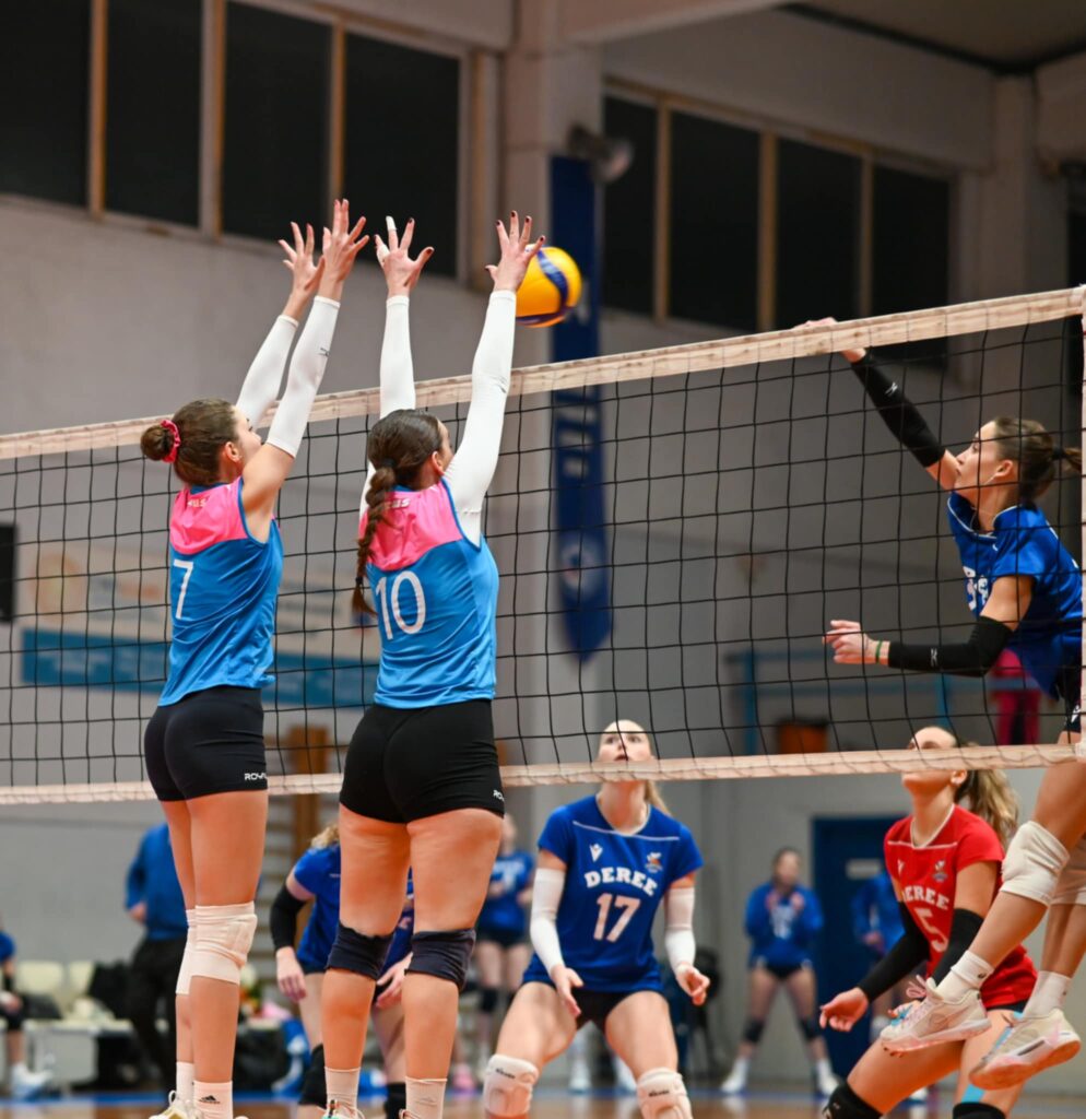 87add533ac824c469d43bcaa91774879 The Volley Lovers