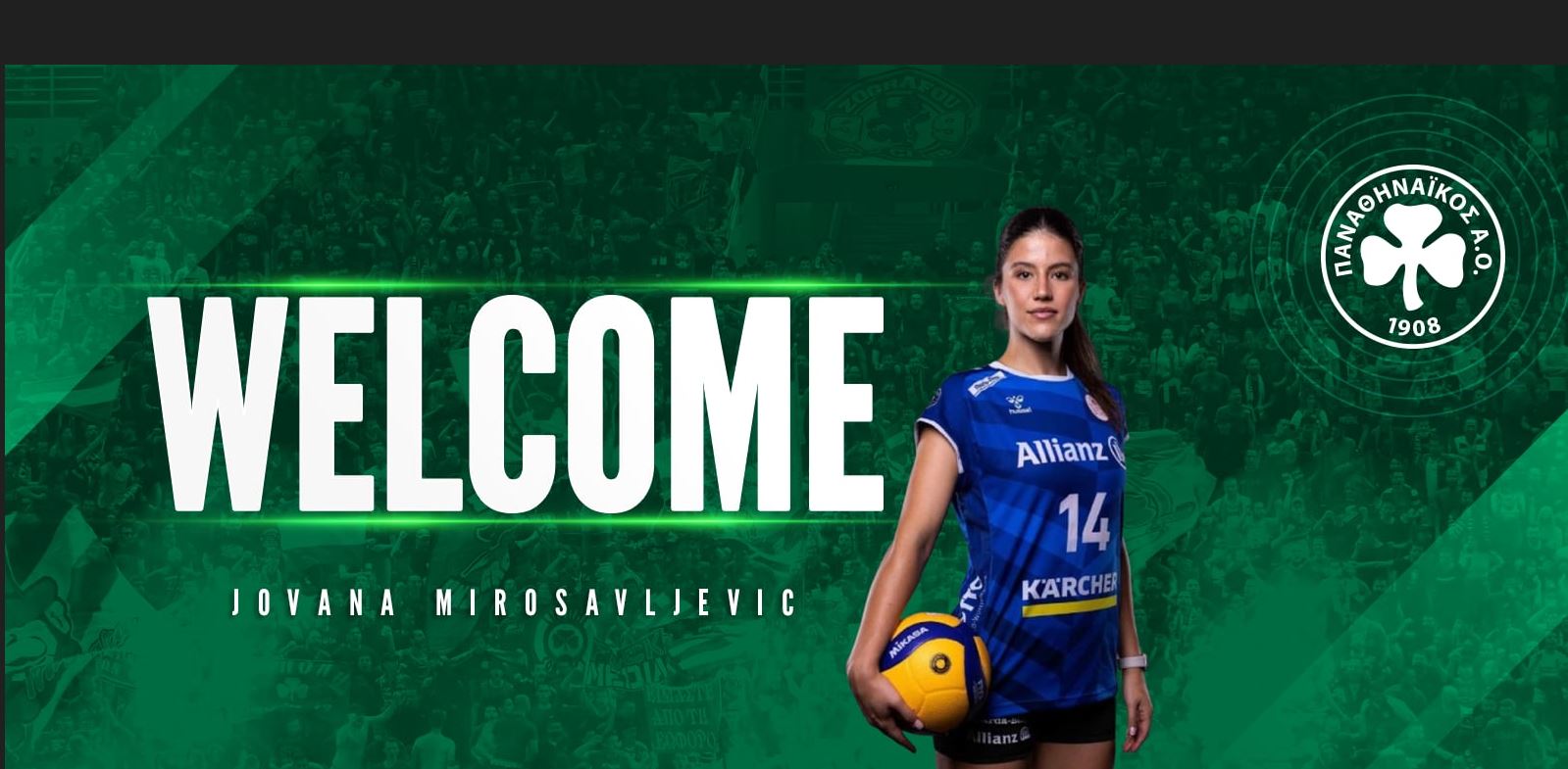 yy The Volley Lovers