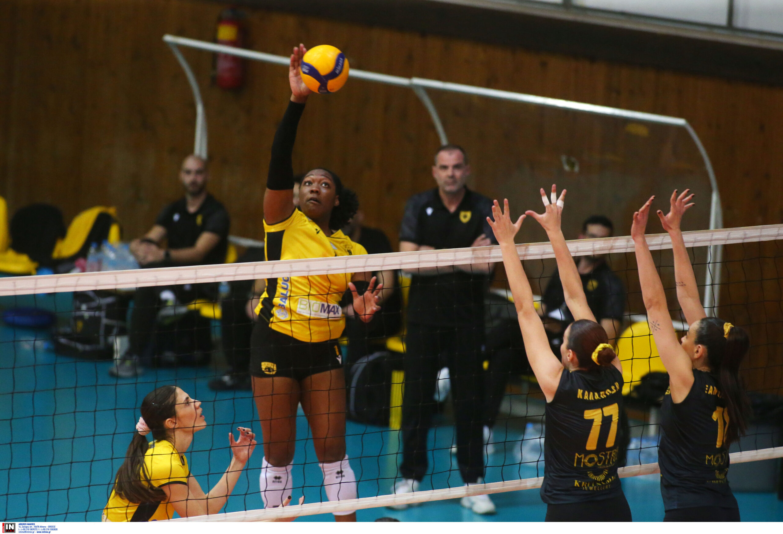 ÁÑÇÓ ÁÅÊ <br> VOLLEY LEAGUE ÃÕÍÁÉÊÙÍ 20242025 The Volley Lovers