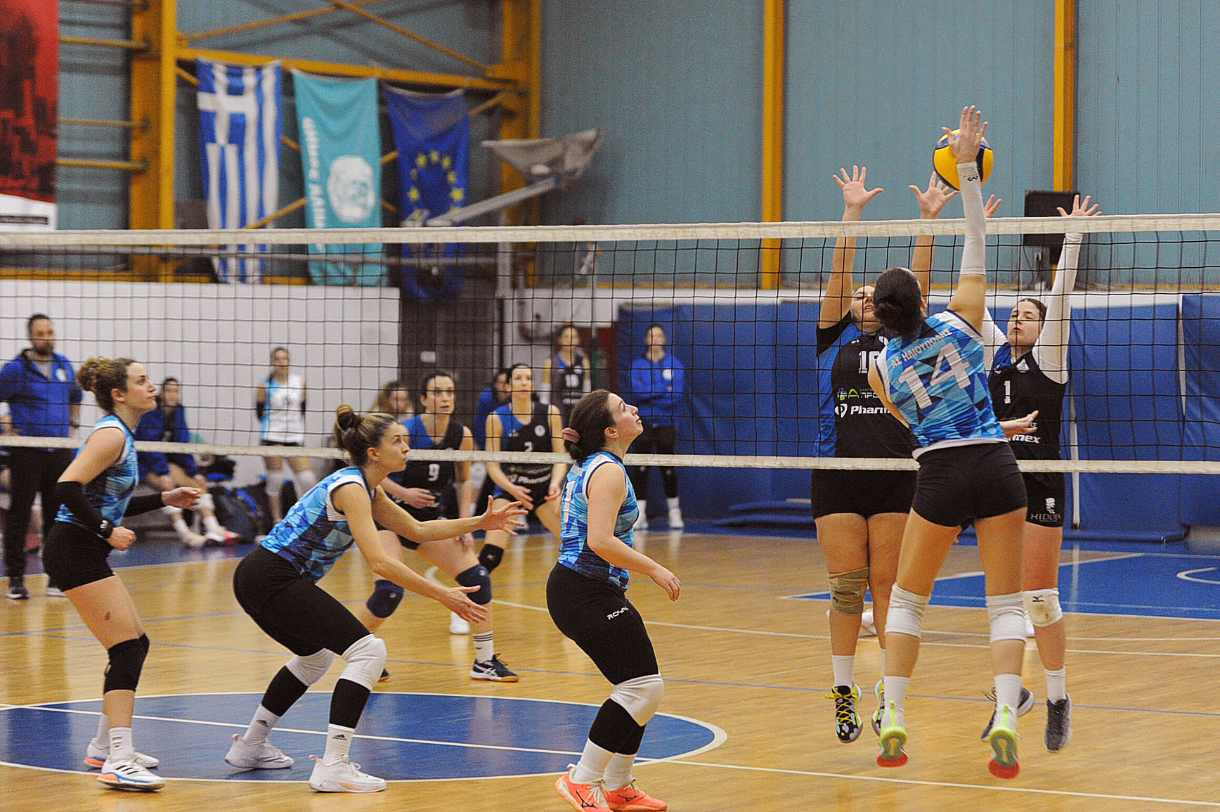 48096595140323142904226826114042005250201701n The Volley Lovers