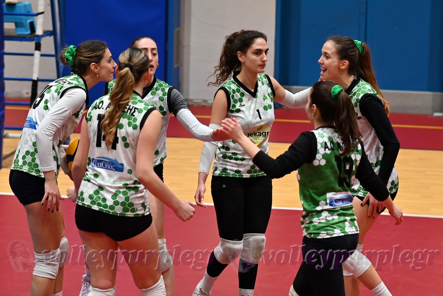 Δελτίο Τύπου 2522025 Β΄ Εθνική Κατηγορία Εθνικό Περιφερειακό Πρωτάθλημα Γυναικών Α Φάση 18η Αγωνιστική The Volley Lovers