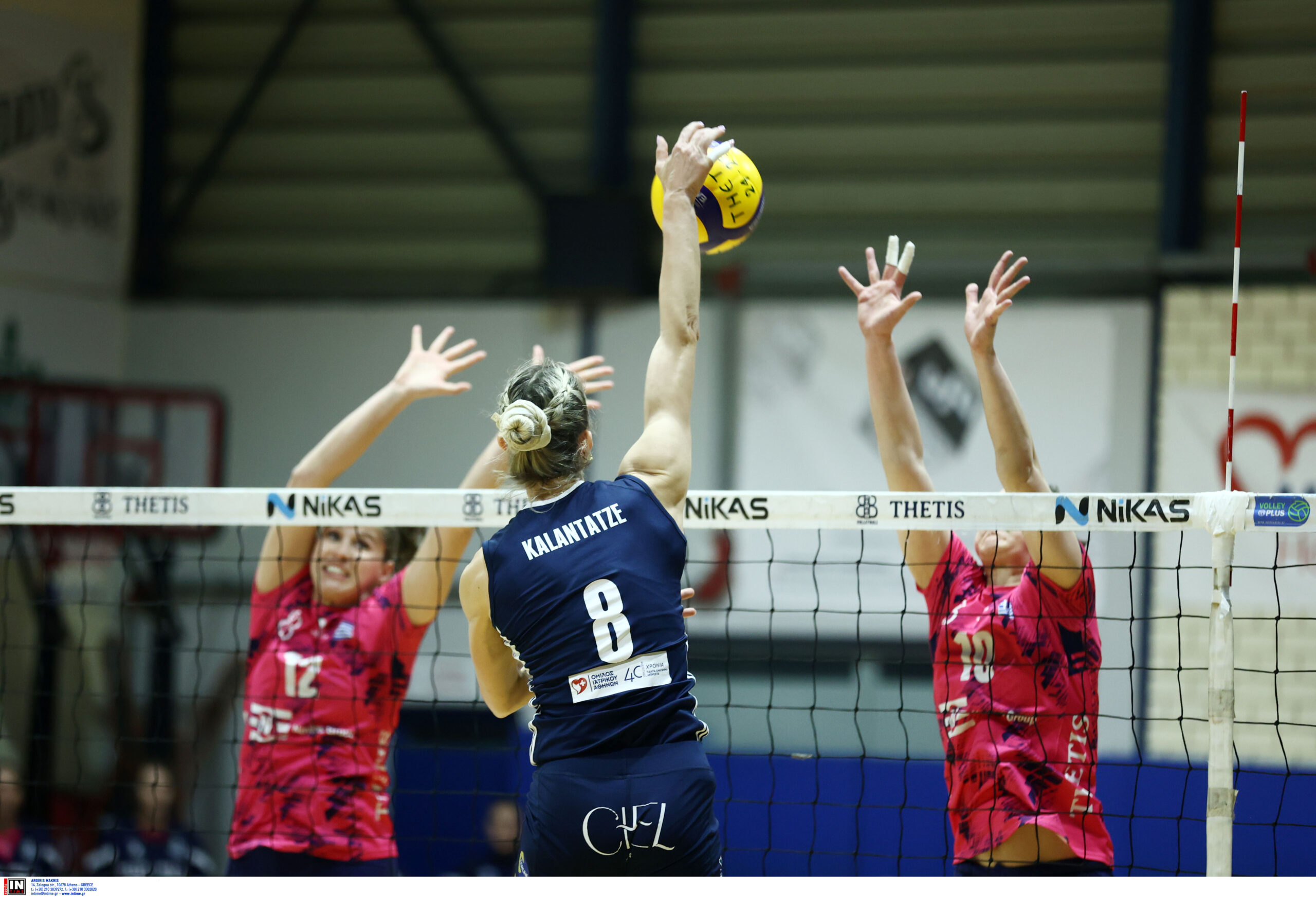 ÈÅÔÉÓ ÏËÕÌÐÉÁÊÏÓ <br> VOLLEY LEAGUE ÃÕÍÁÉÊÙÍ 20242025 The Volley Lovers