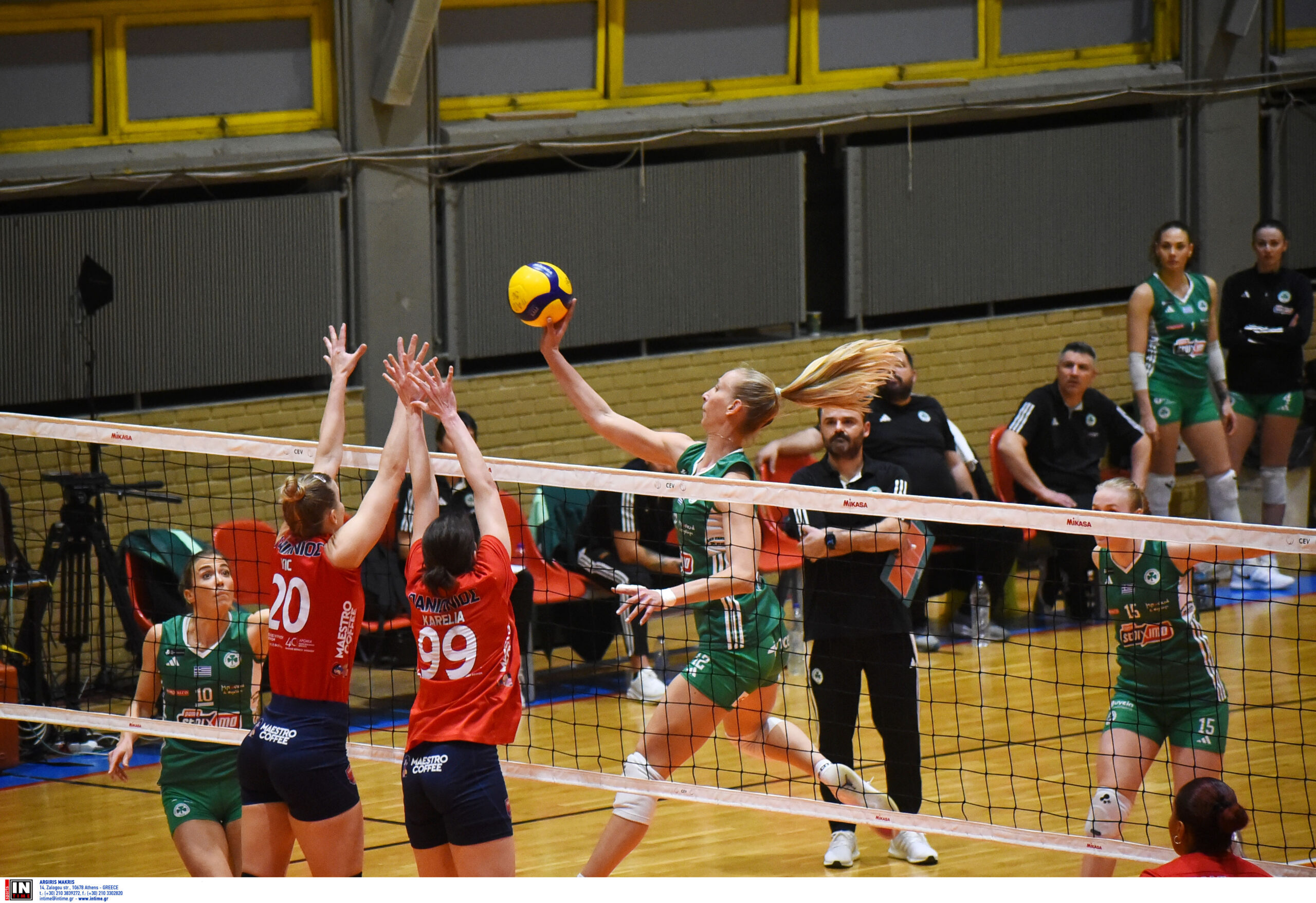 ÐÁÍÁÈÇÍÁÉÊÏÓ ÐÁÍÉÙÍÉÏÓ <br> VOLLEY LEAGUE ÃÕÍÁÉÊÙÍ 20242025 The Volley Lovers