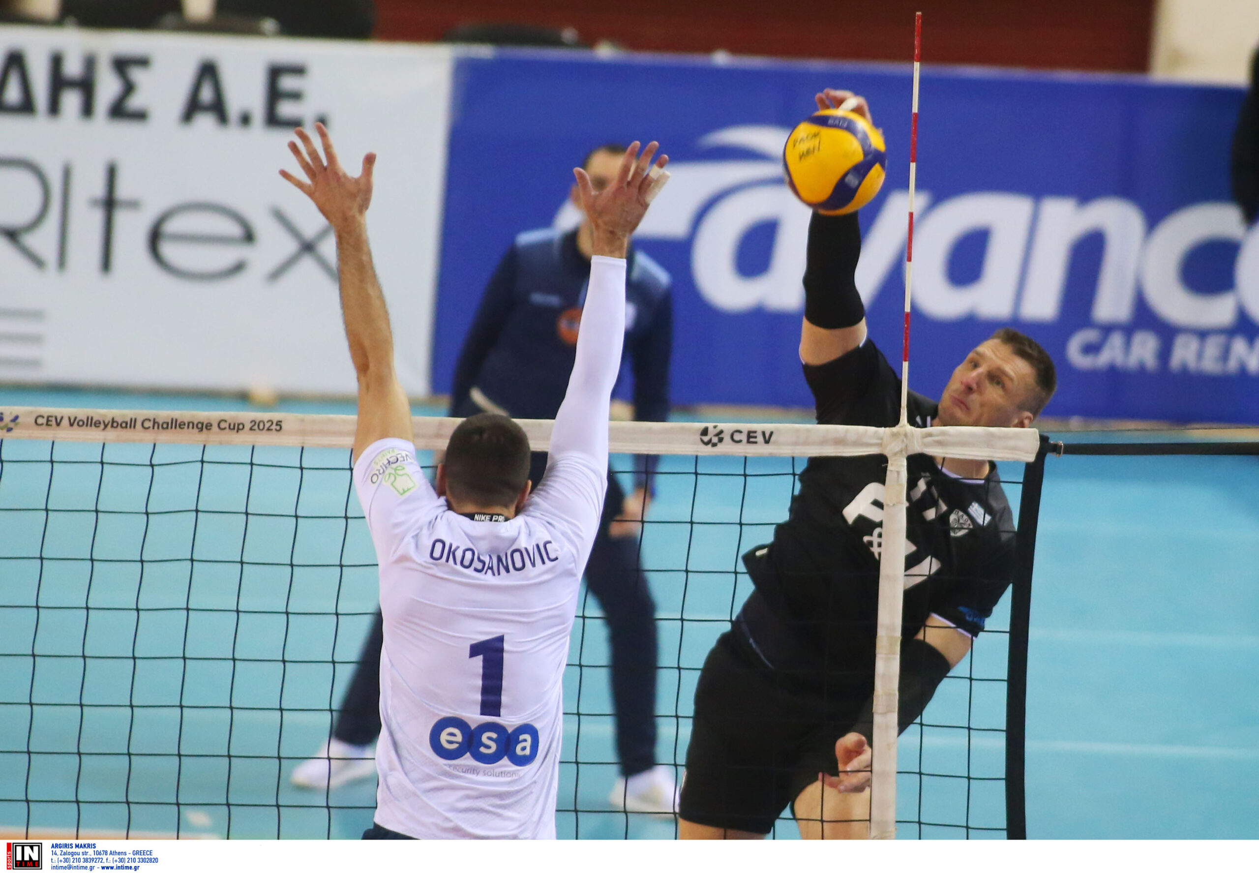 ÐÁÏÊ ÖÏÉÍÉÊÁÓ ÓÕÑÏÕ <br> VOLLEY LEAGUE 20242025 The Volley Lovers