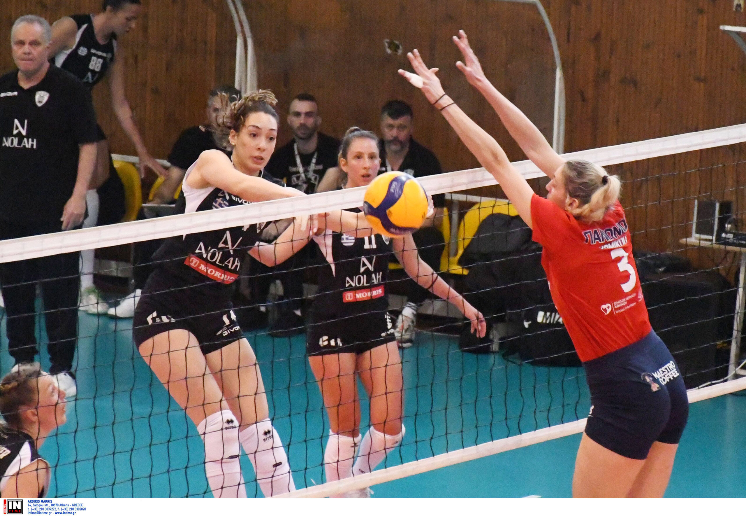 ÐÁÏÊ ÐÁÍÉÙÍÉÏÓ <br> ÐËÅÉ ÏÖ VOLLEY LEAGUE ÃÕÍÁÉÊÙÍ 20242025 The Volley Lovers