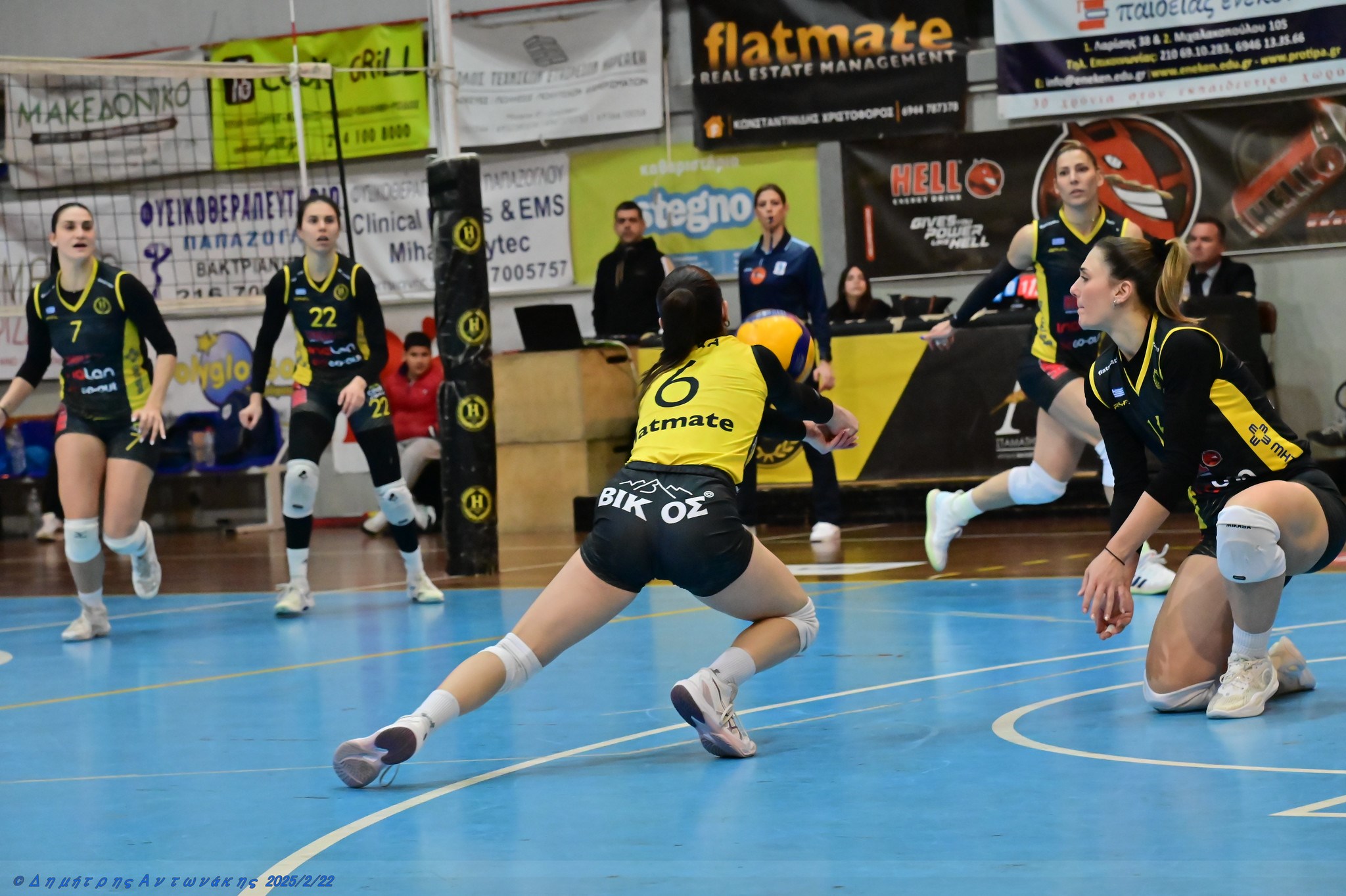 638764667795560271 The Volley Lovers