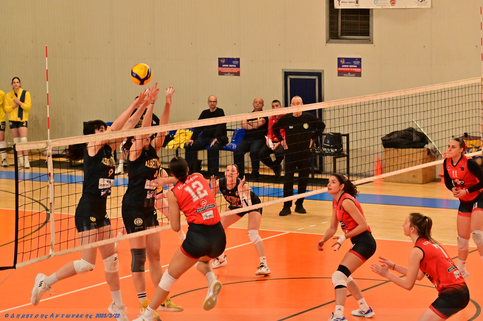 638782924130560333 The Volley Lovers