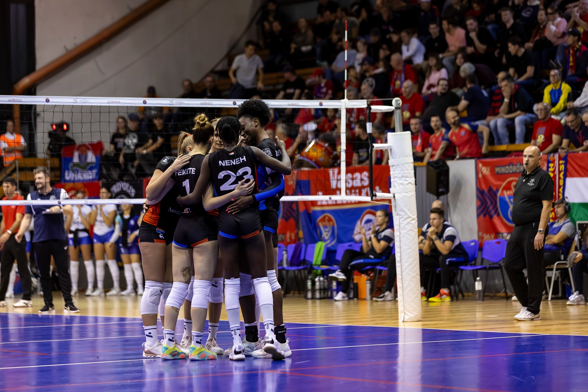 001 The Volley Lovers