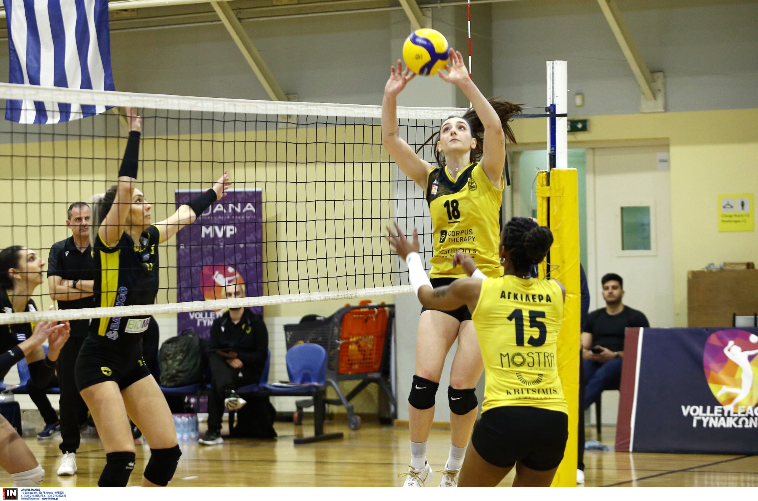 ÁÅÊ ÁÑÇÓ <br> ÐËÅÉ ÏÖ VOLLEY LEAGUE ÃÕÍÁÉÊÙÍ 20242025 The Volley Lovers