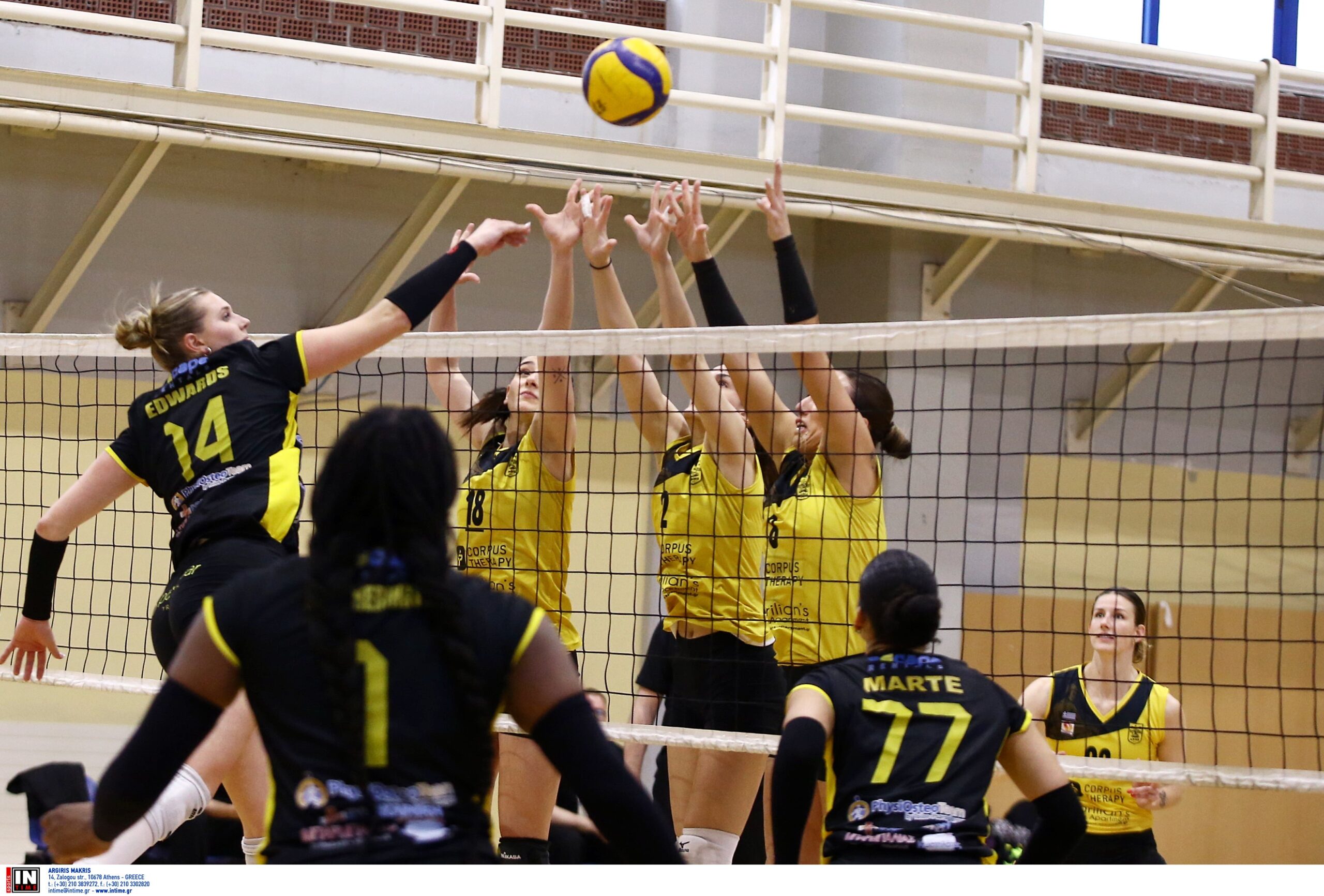 ÁÅÊ ÁÑÇÓ <br> ÐËÅÉ ÏÖ VOLLEY LEAGUE ÃÕÍÁÉÊÙÍ 20242025 The Volley Lovers