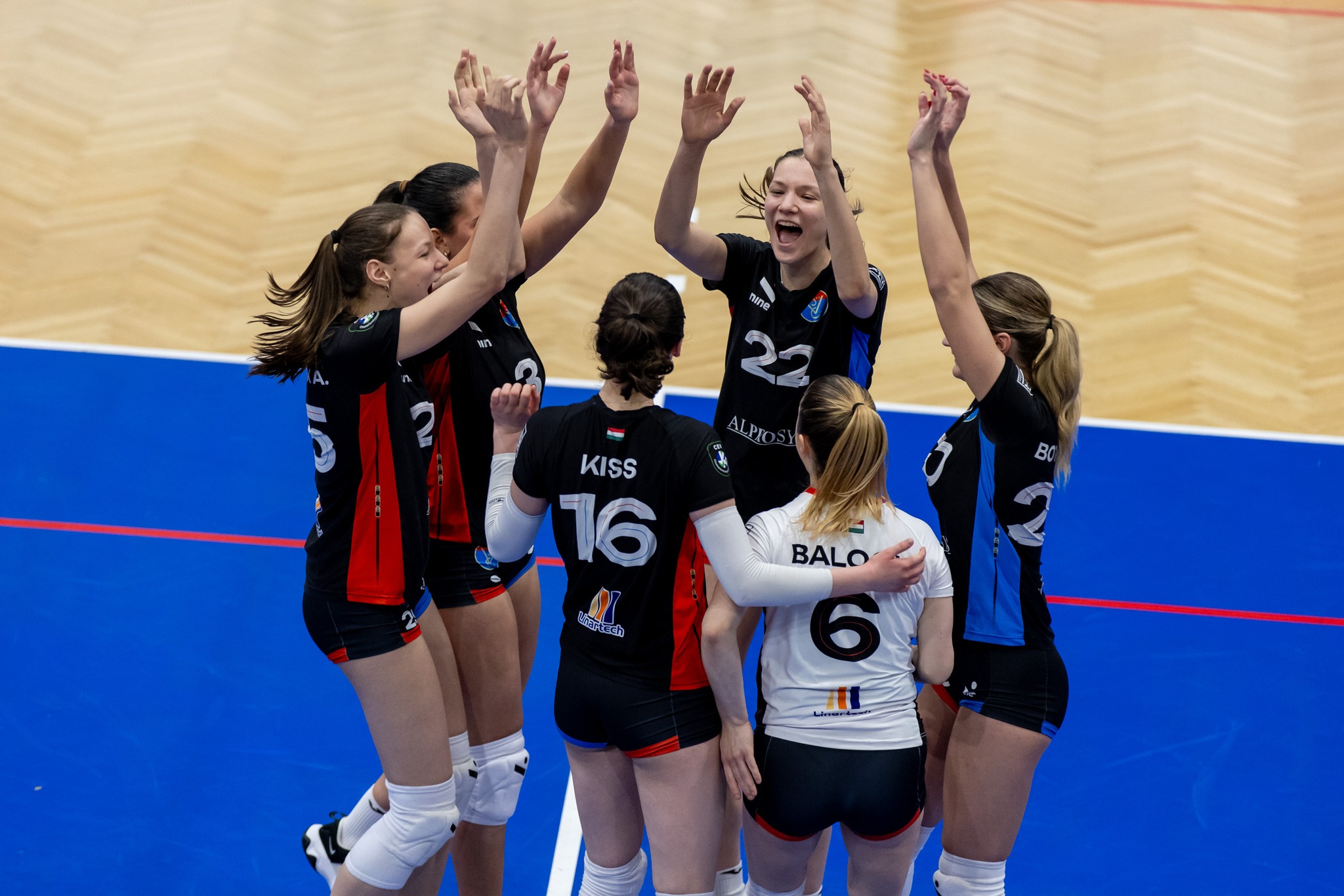 49128279912284362026249246607626149618762547n The Volley Lovers