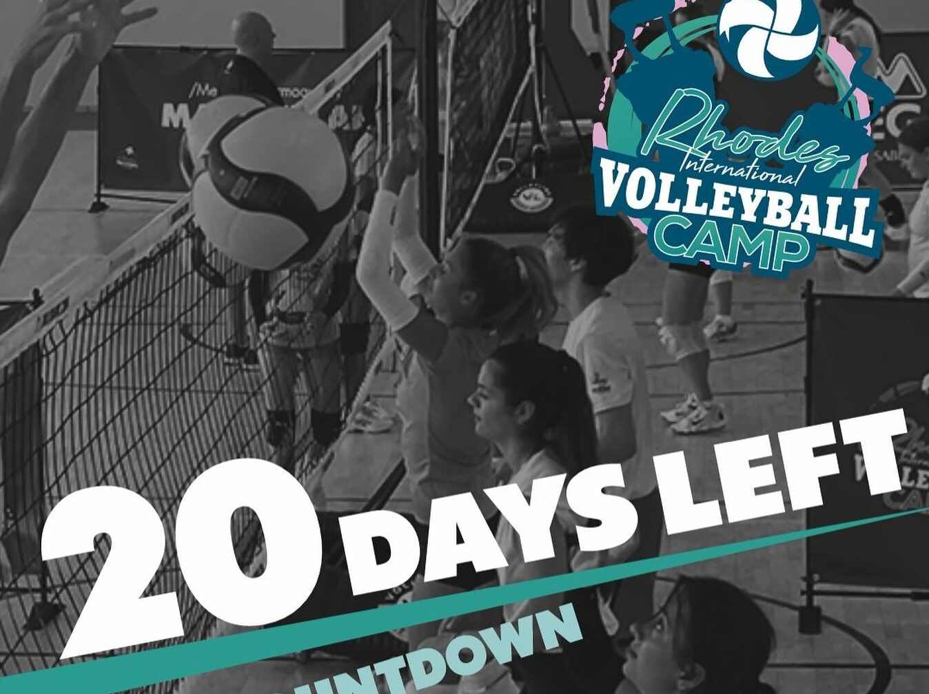 505186169181130452754943396663783662315225780n The Volley Lovers