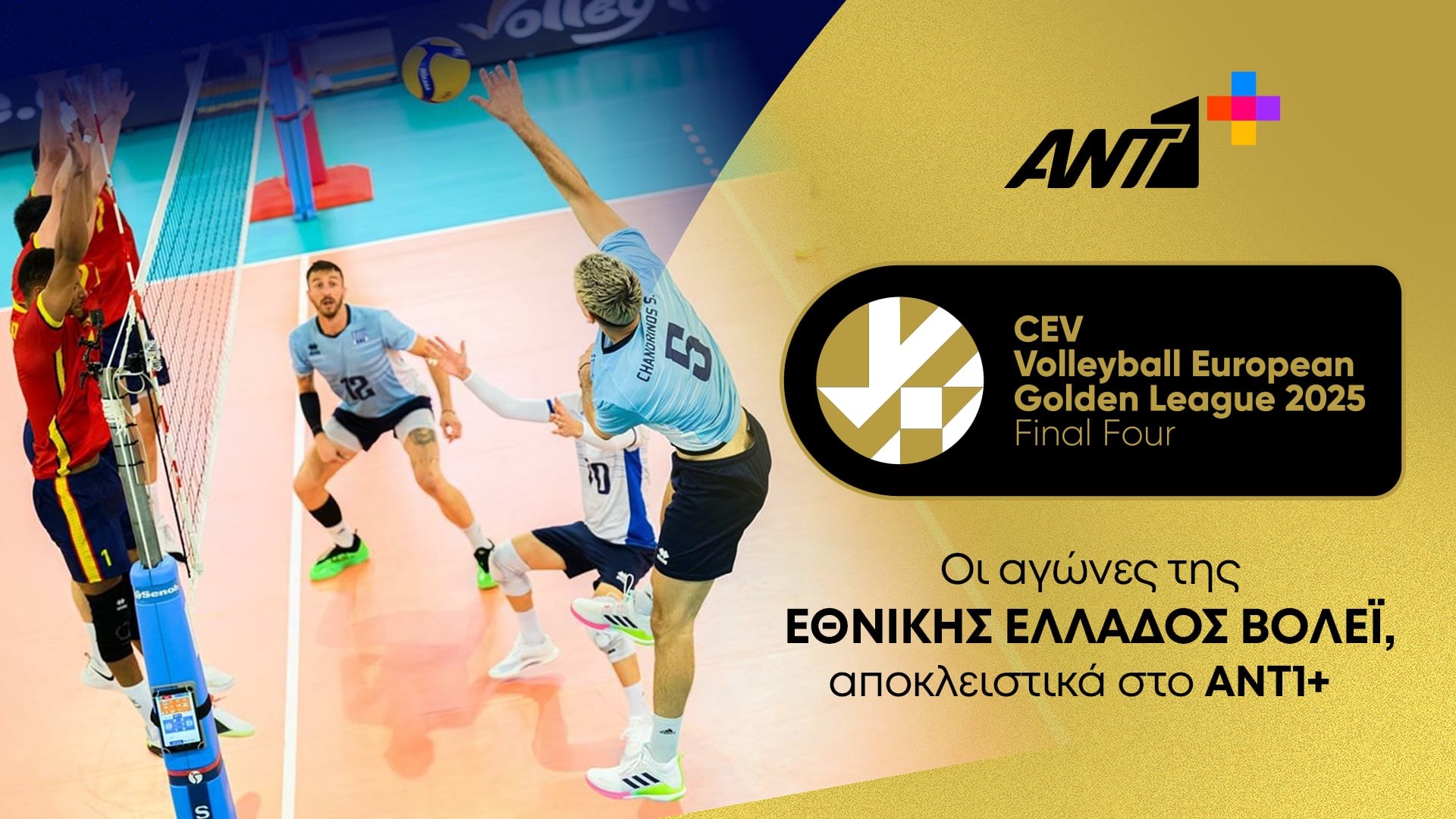 0638869867559879825 The Volley Lovers