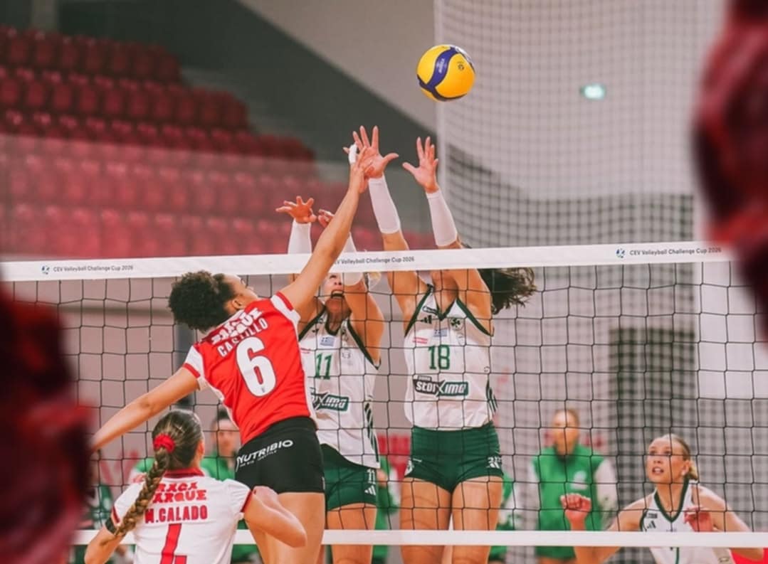 40e73cfe0311441e8d1f306b7fe67867 The Volley Lovers