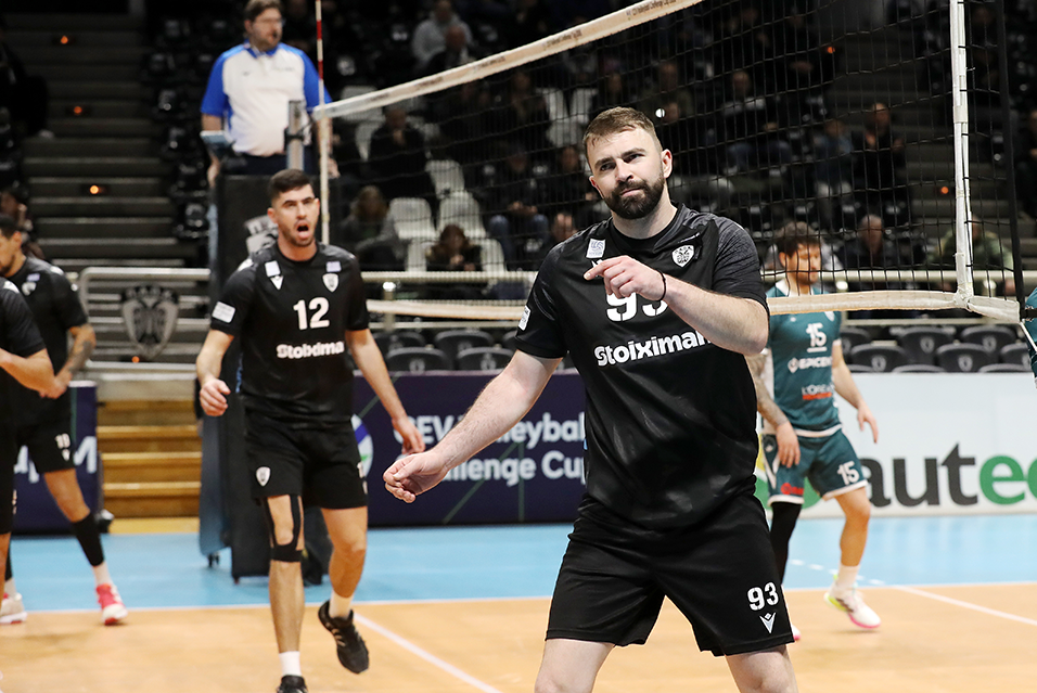 500918900 The Volley Lovers