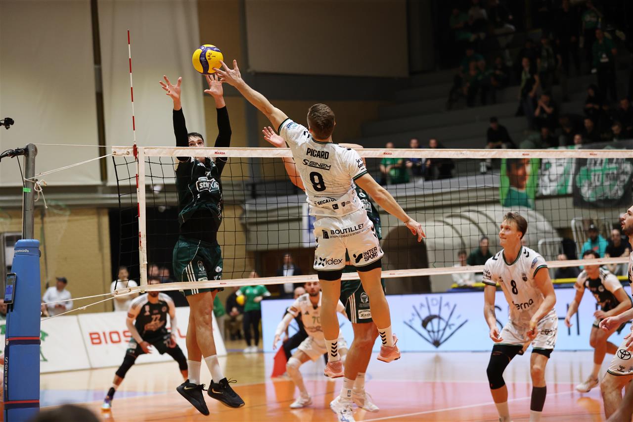 59ad31a6a499bb8dbbe6f3665c1863ce The Volley Lovers