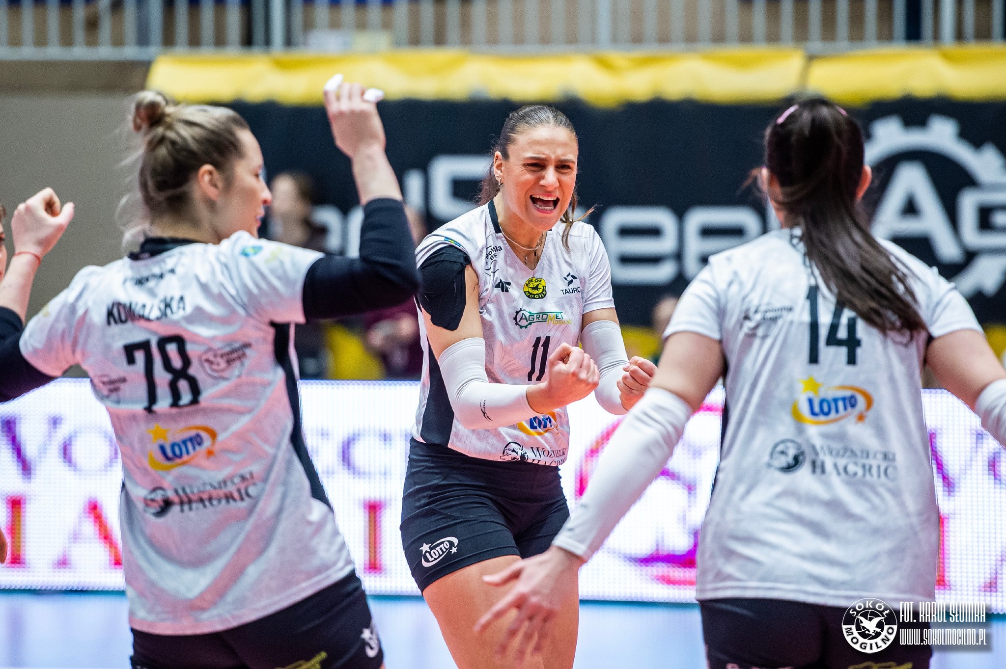 60379600015410203313610095180038508825150294n The Volley Lovers