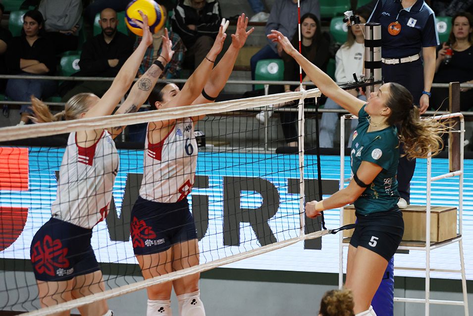 005025173 The Volley Lovers