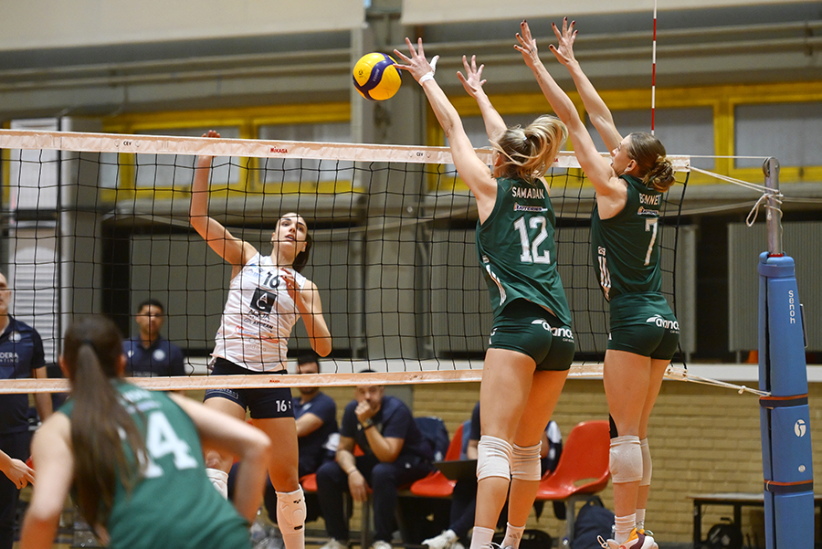 005036855 The Volley Lovers