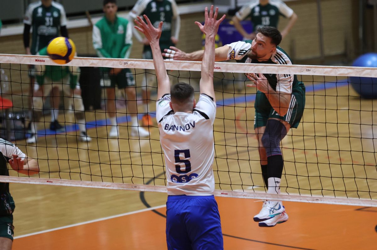 LIVE The Volley Lovers