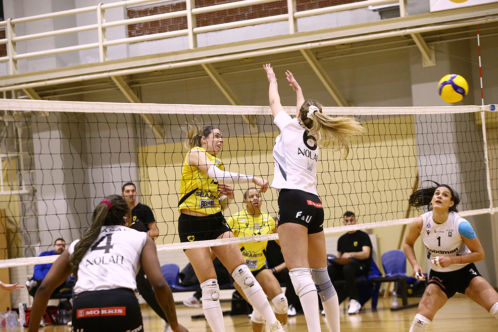 501762300 The Volley Lovers
