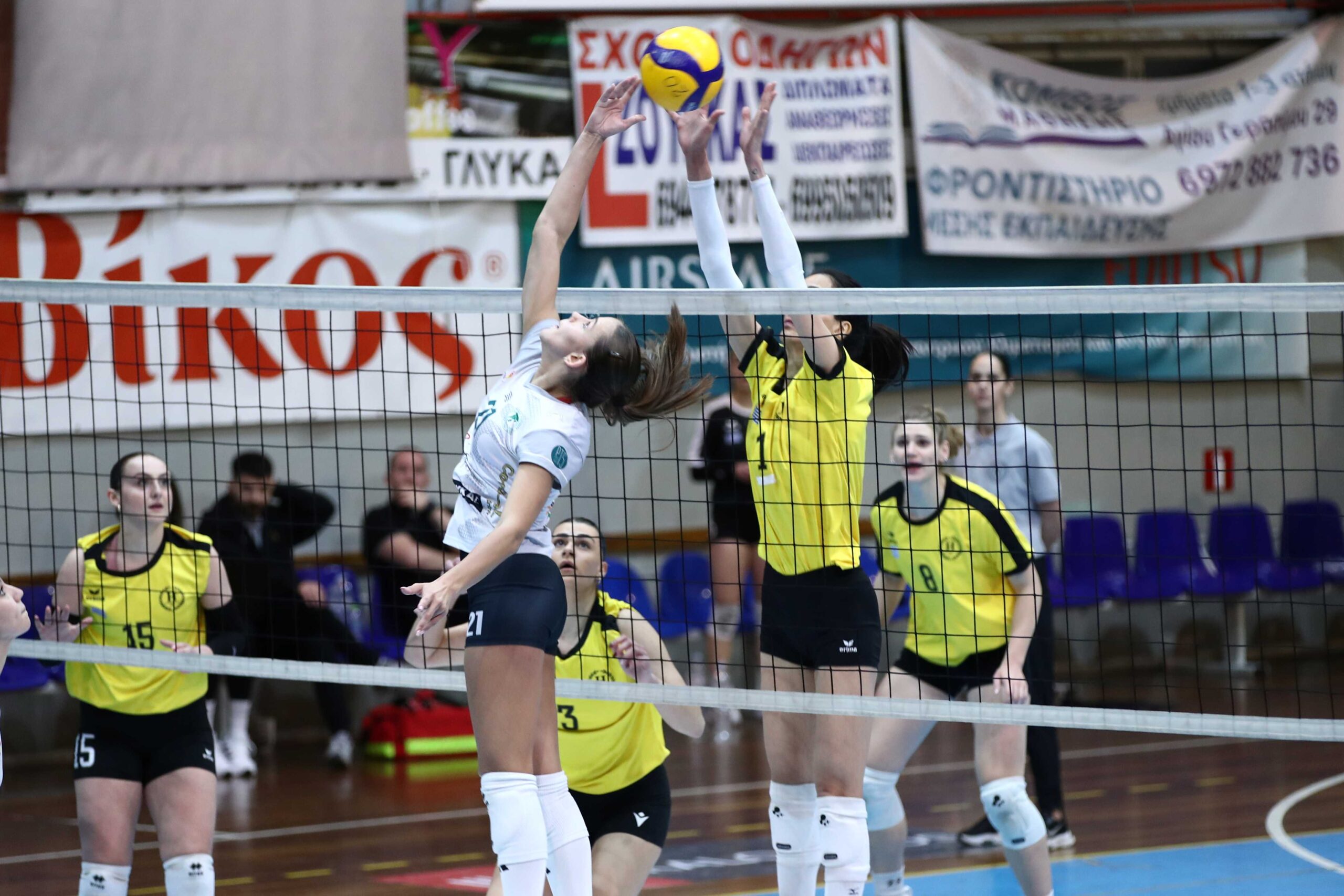 005063313 The Volley Lovers