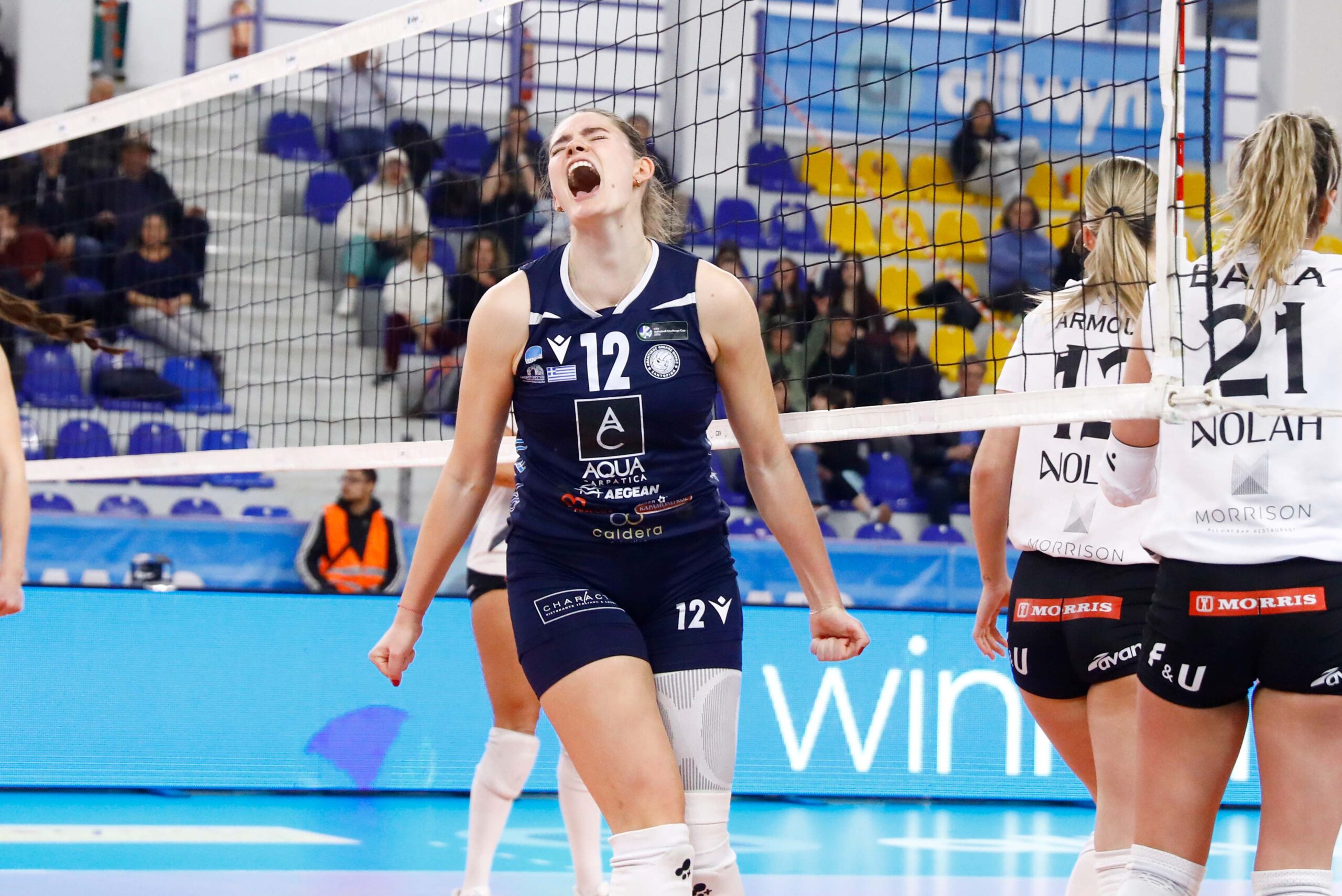 005073004 The Volley Lovers