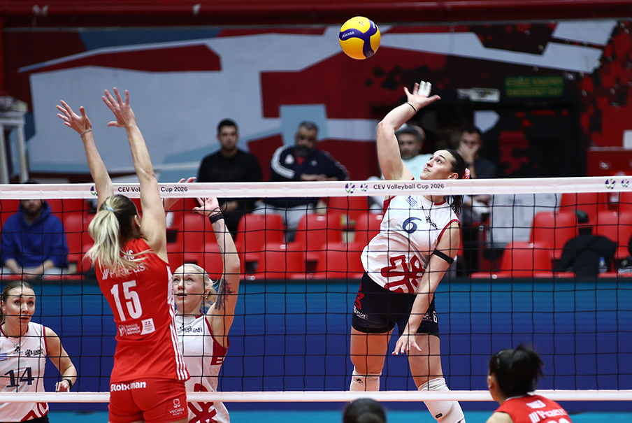 005113778 The Volley Lovers