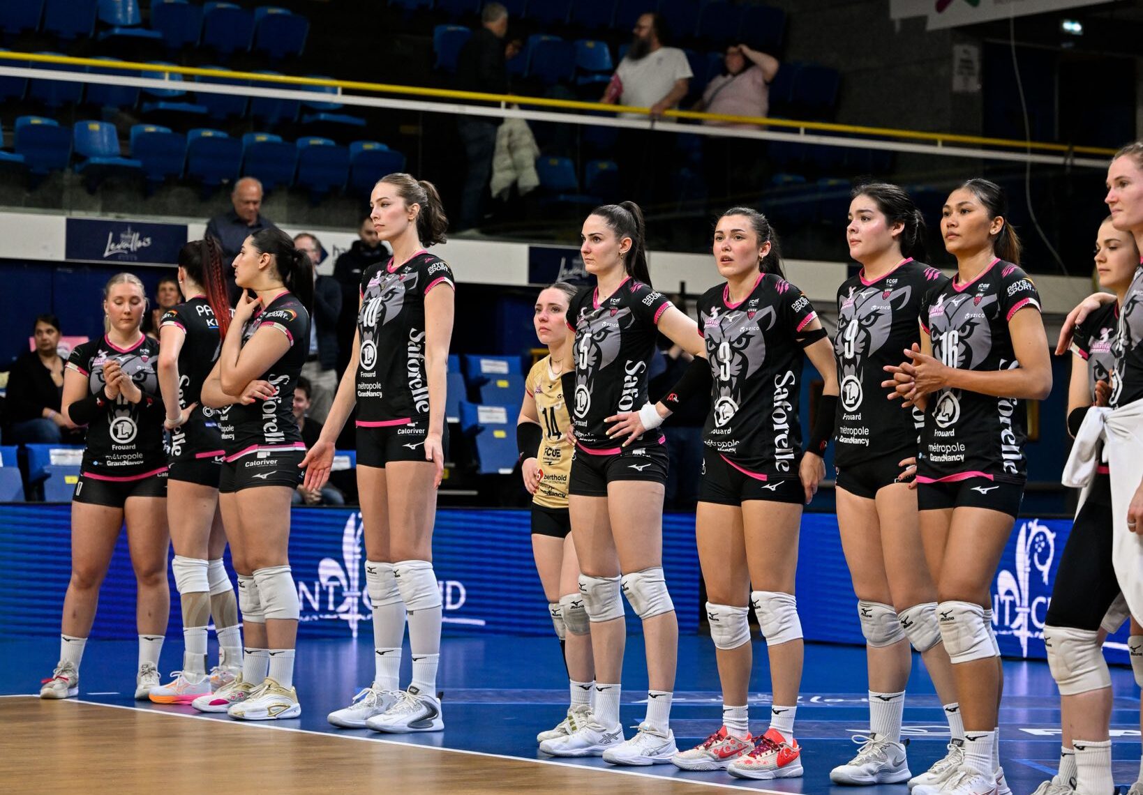 67224692115783312009653477920262949692632226n The Volley Lovers