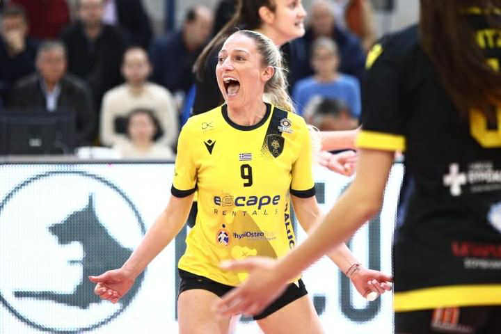 d179f19d51ff4f779a45772da853691c The Volley Lovers