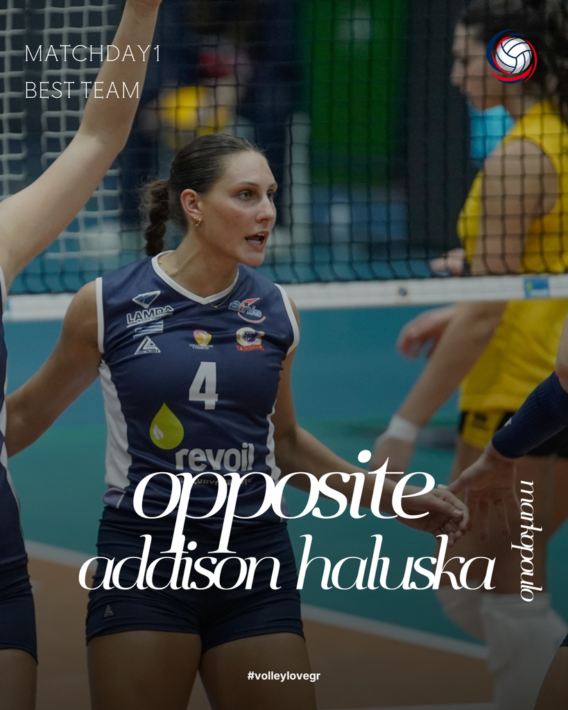16 The Volley Lovers Promotional volleyball poster: female player in navy jersey #4 on the court, with large script text and a volleyball logo in the corner.