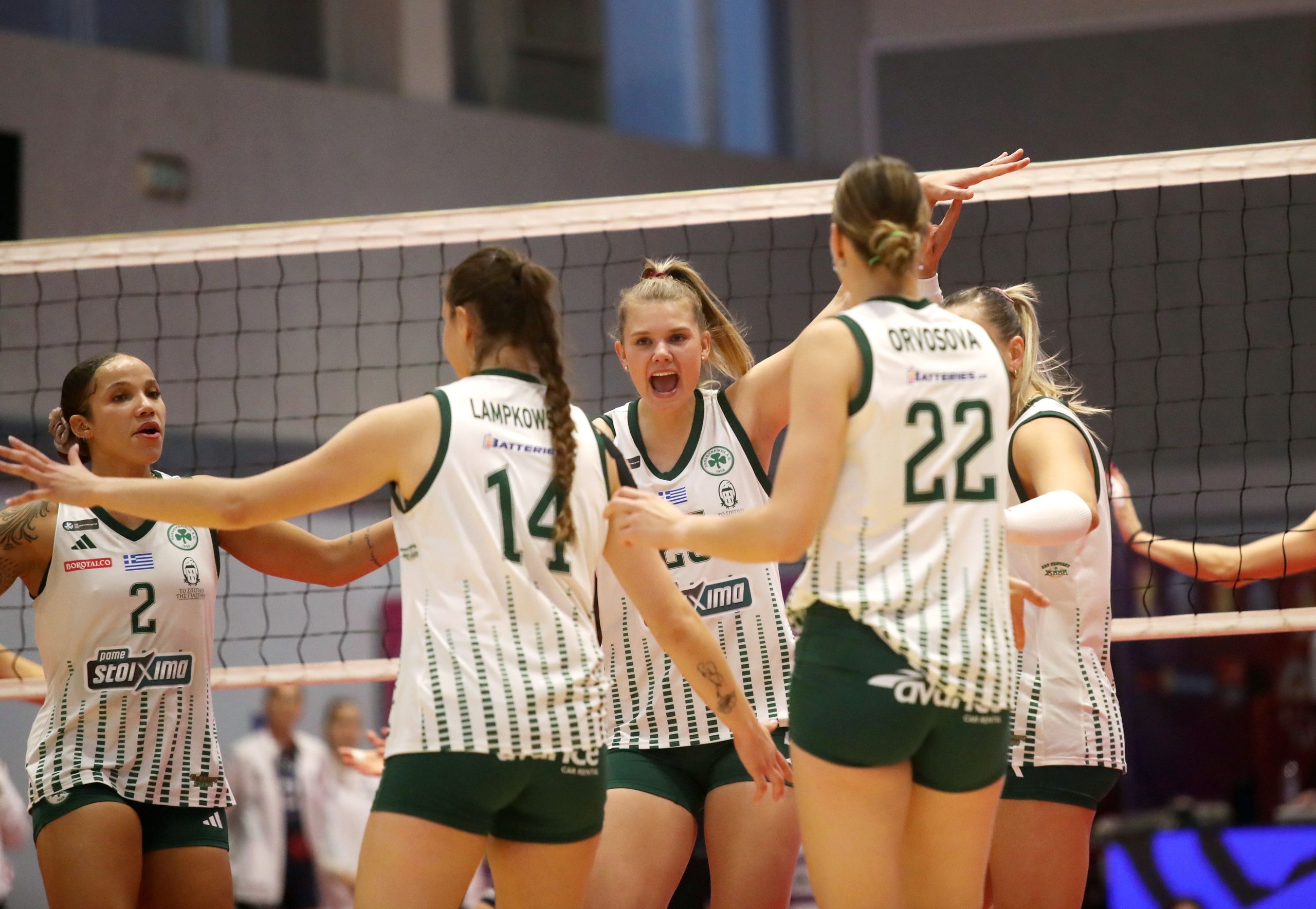 Group of female volleyball players in white and green uniforms celebrate at the net after a point.